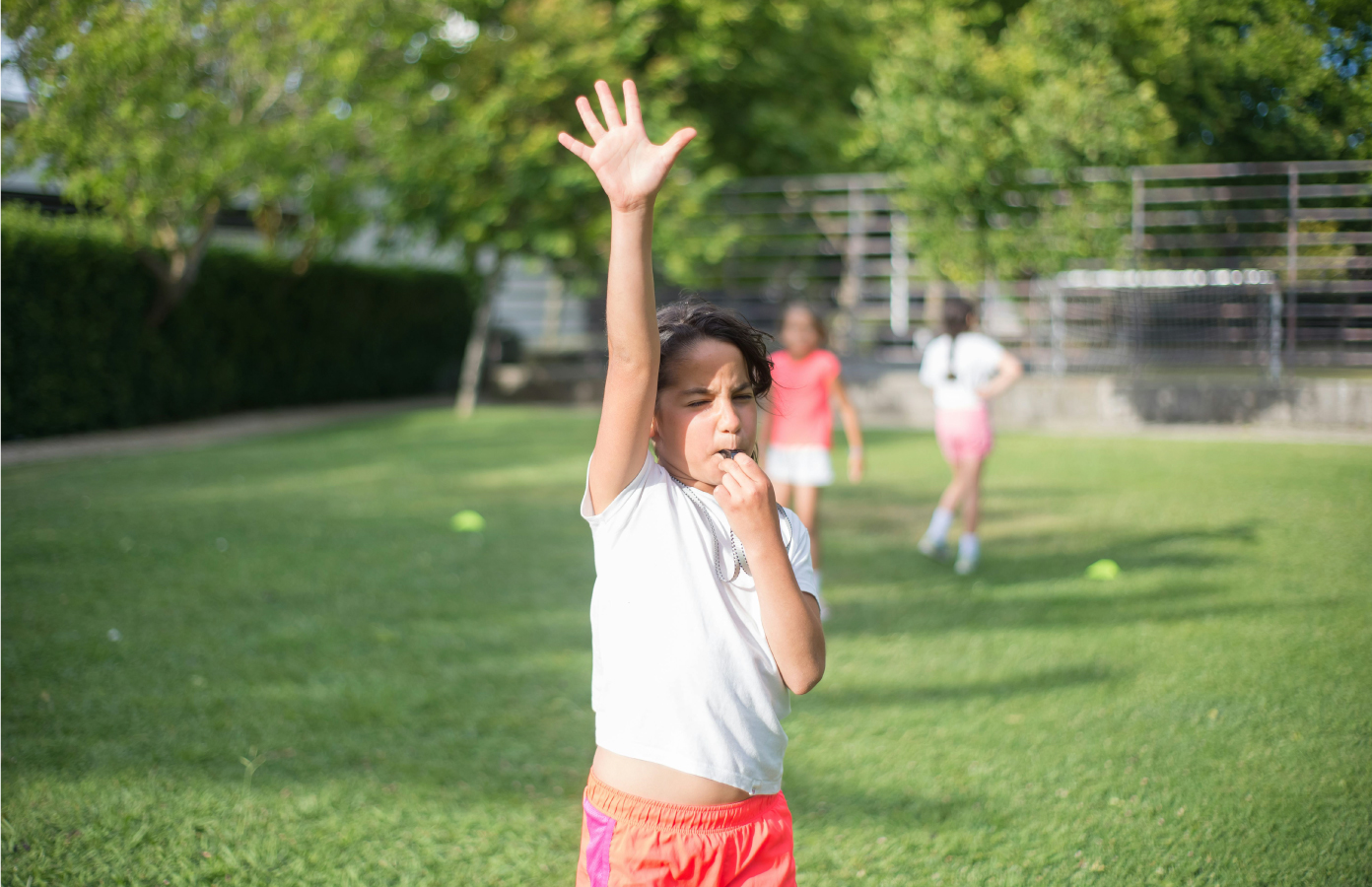 Why Every Playground Needs a Whistle