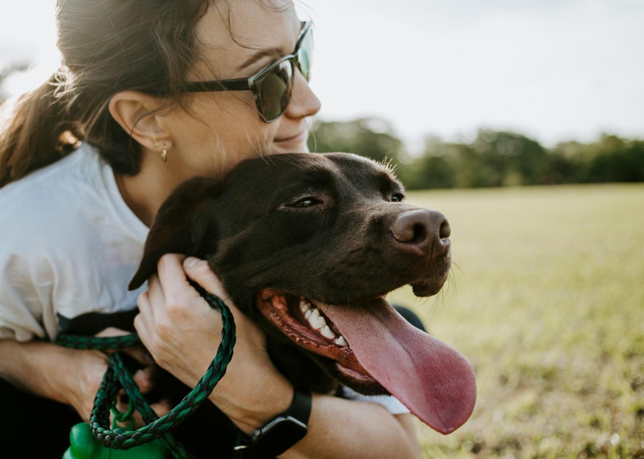 Dog training 