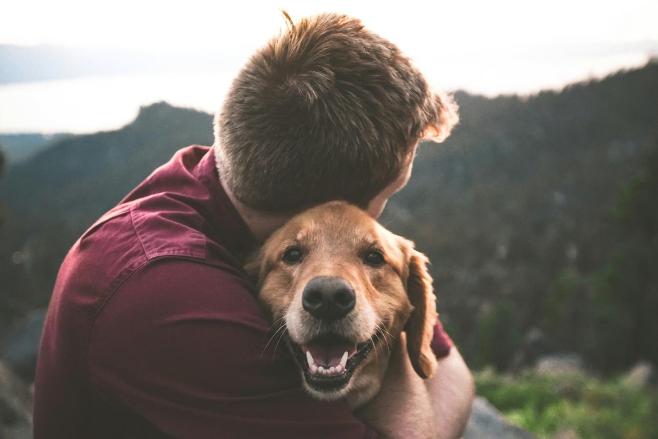 Dog training with owner